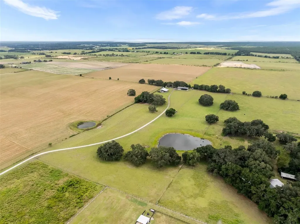 23220 NW 27th Street Morriston FL 32668