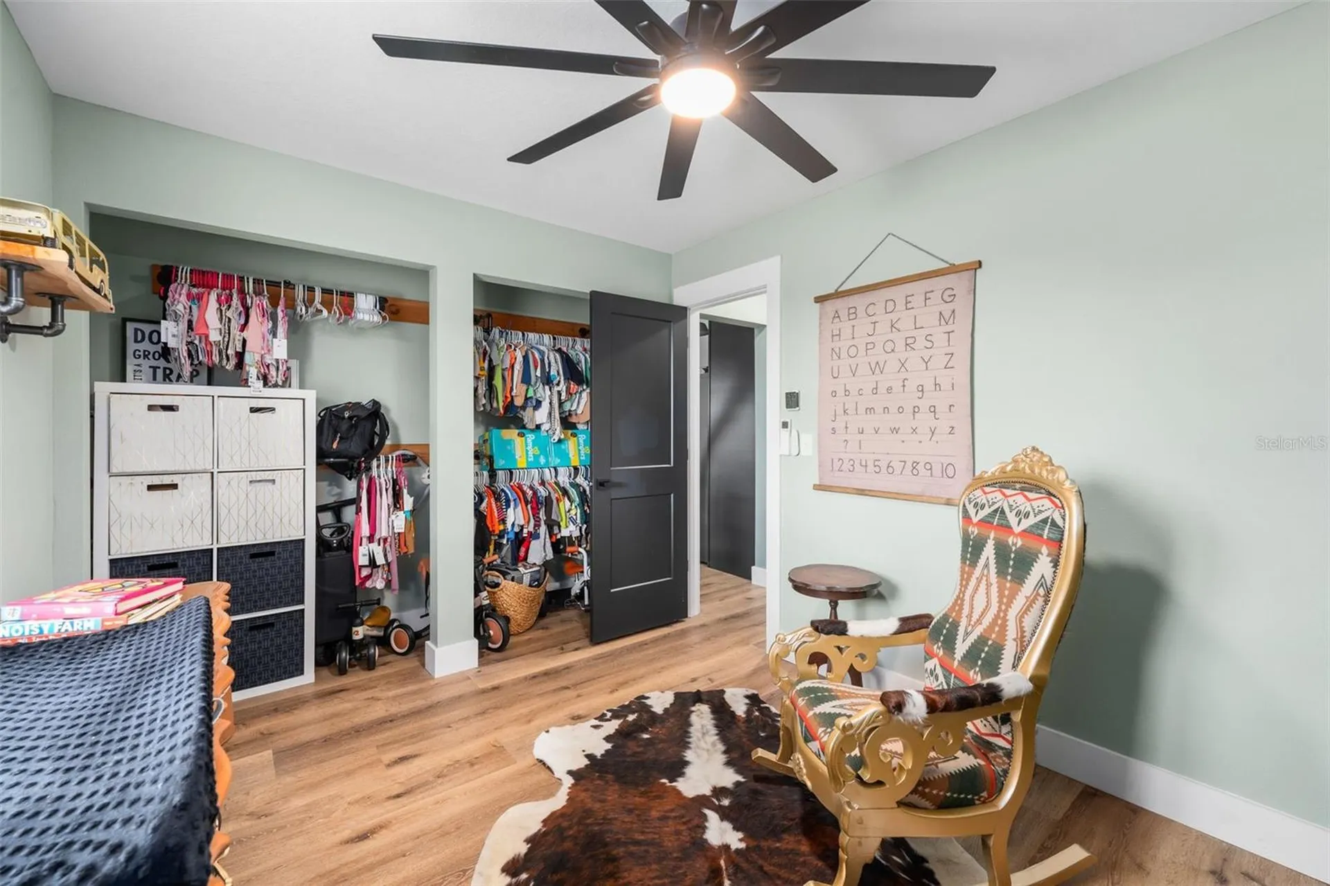 23220 NW 27th Street Morriston FL 32668