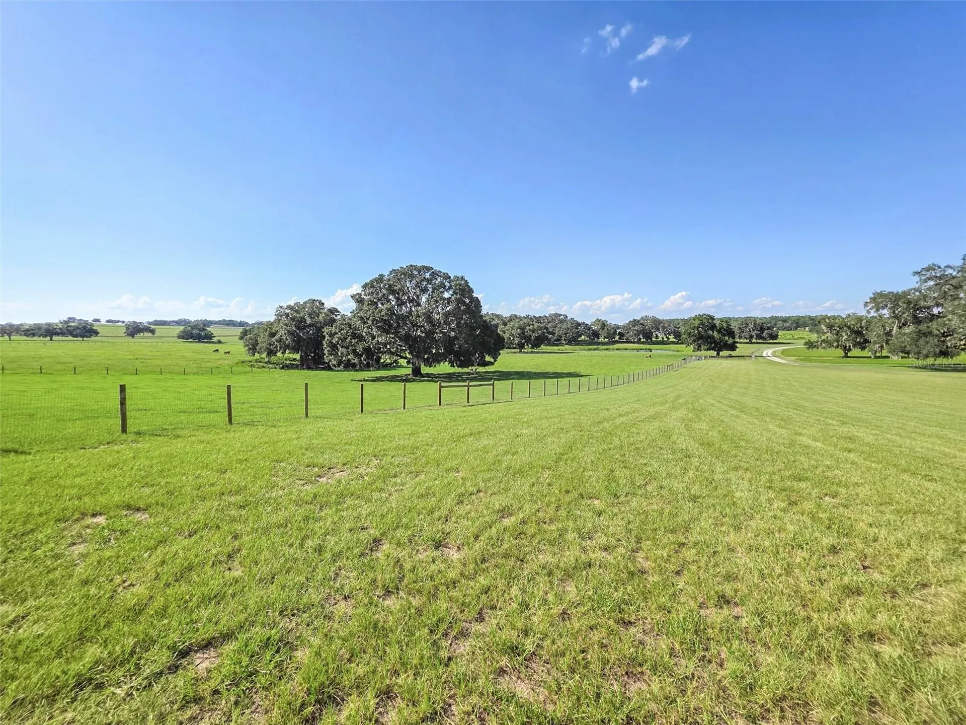 23220 NW 27th Street Morriston FL 32668
