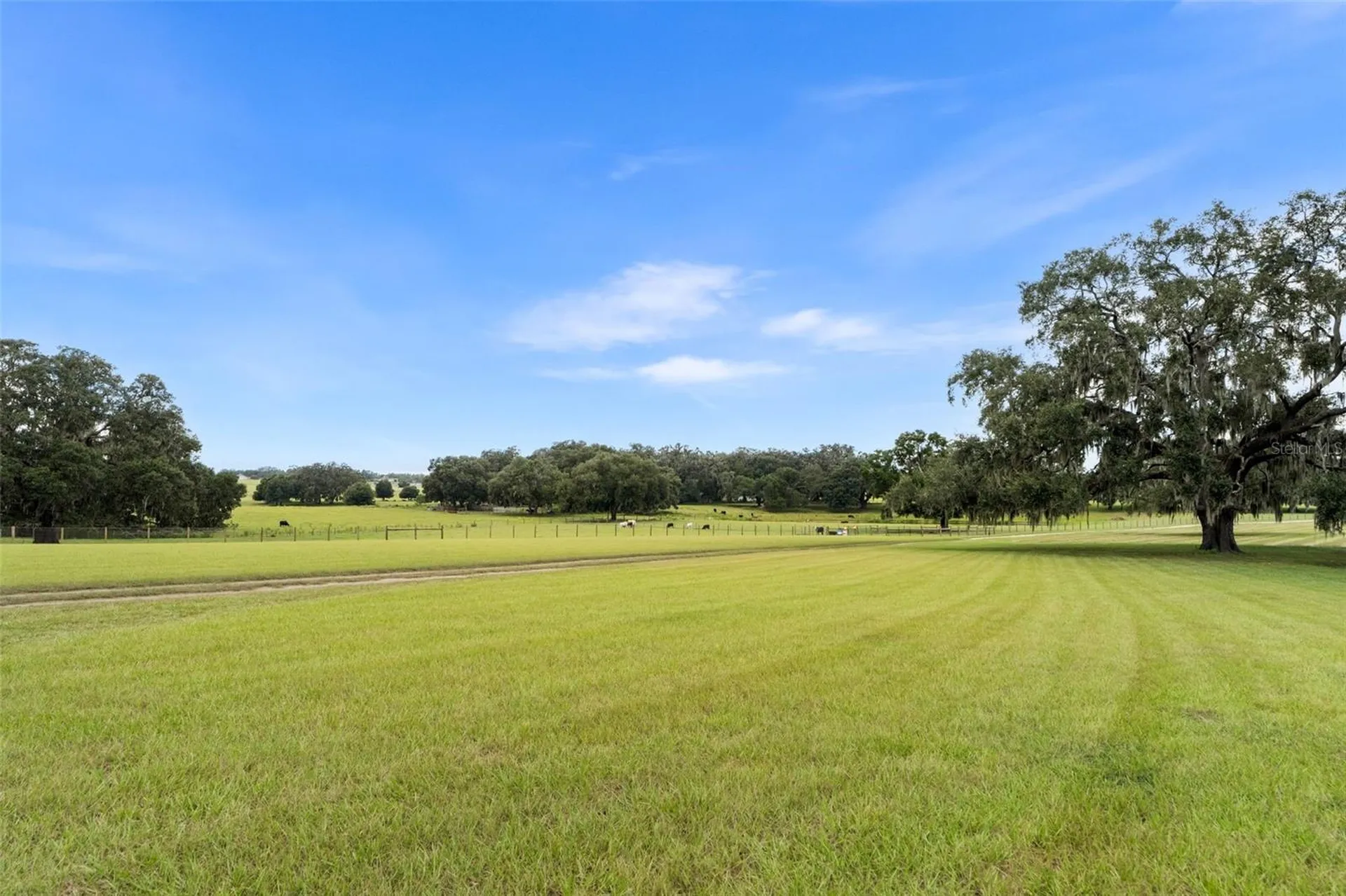 23220 NW 27th Street Morriston FL 32668