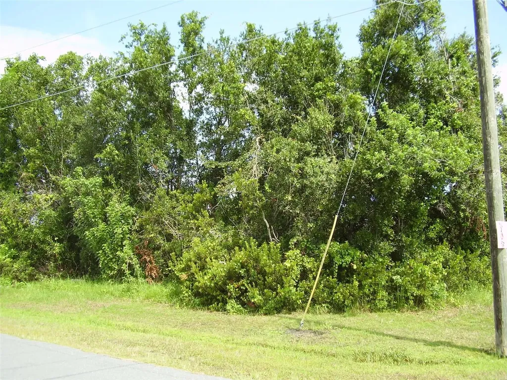 801 Carrousel Lane Kissimmee FL 34759