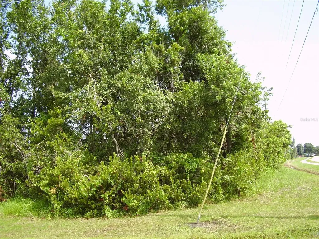 801 Carrousel Lane Kissimmee FL 34759