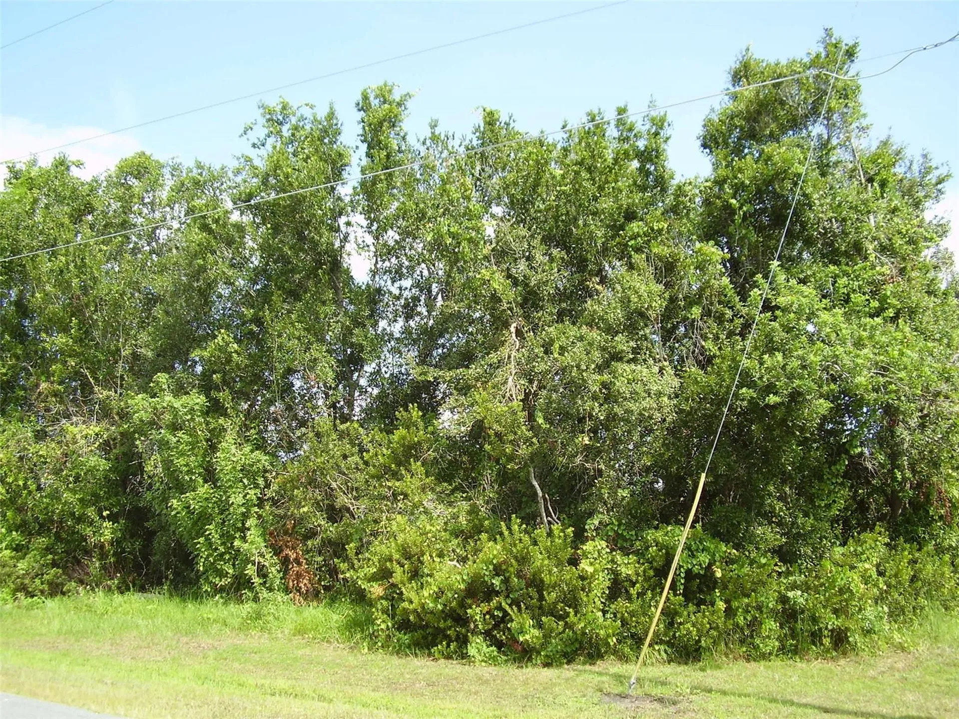 801 Carrousel Lane Kissimmee FL 34759