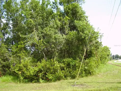 801 Carrousel Lane Kissimmee FL 34759