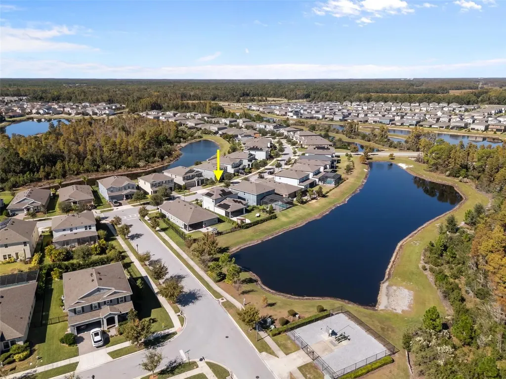 4604 Ballantrae Boulevard Land O Lakes FL 34638