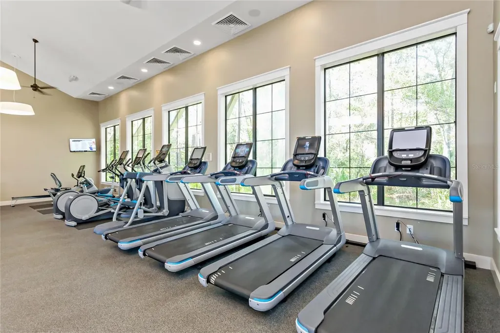4604 Ballantrae Boulevard Land O Lakes FL 34638