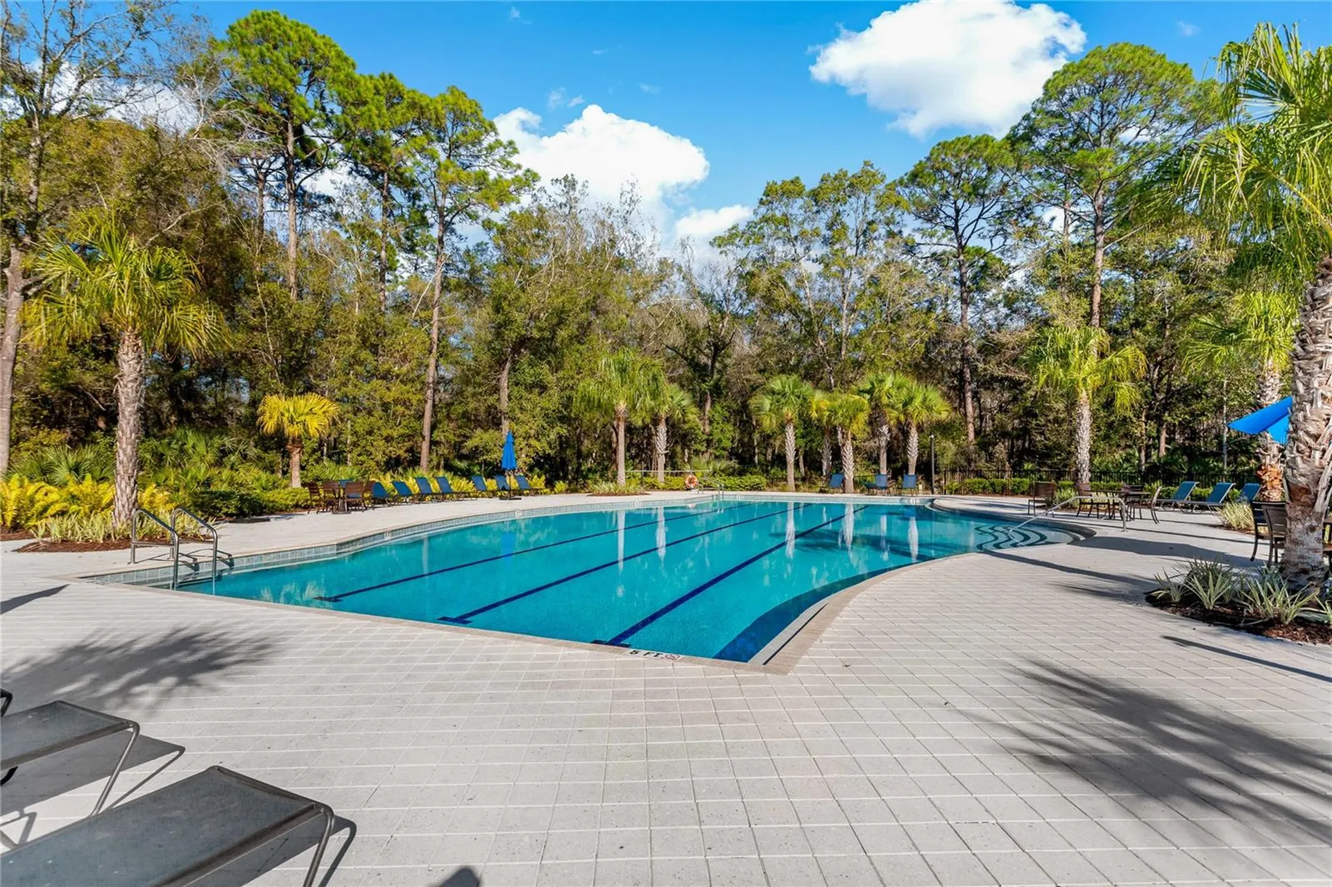 4604 Ballantrae Boulevard Land O Lakes FL 34638