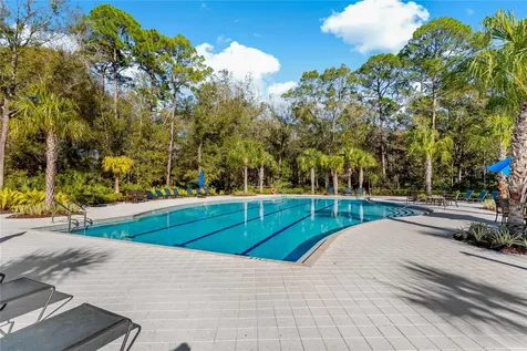 4604 Ballantrae Boulevard Land O Lakes FL 34638