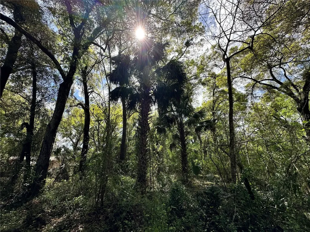 Tbd SW 5th Lane Ocala FL 34481