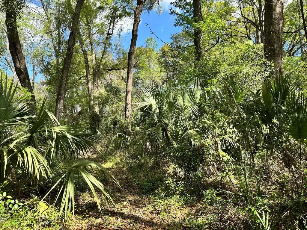 Tbd SW 5th Lane Ocala FL 34481