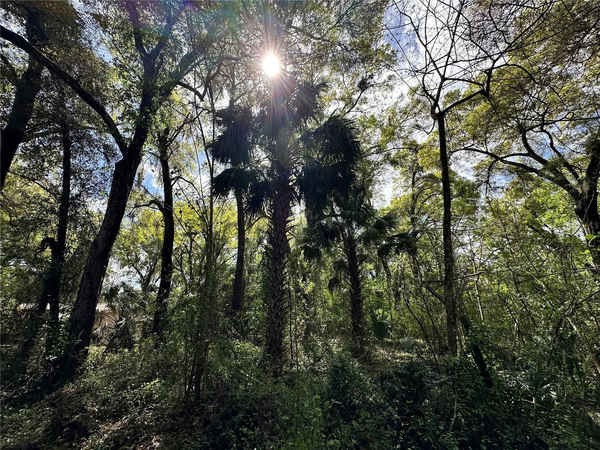 Tbd SW 5th Lane Ocala FL 34481