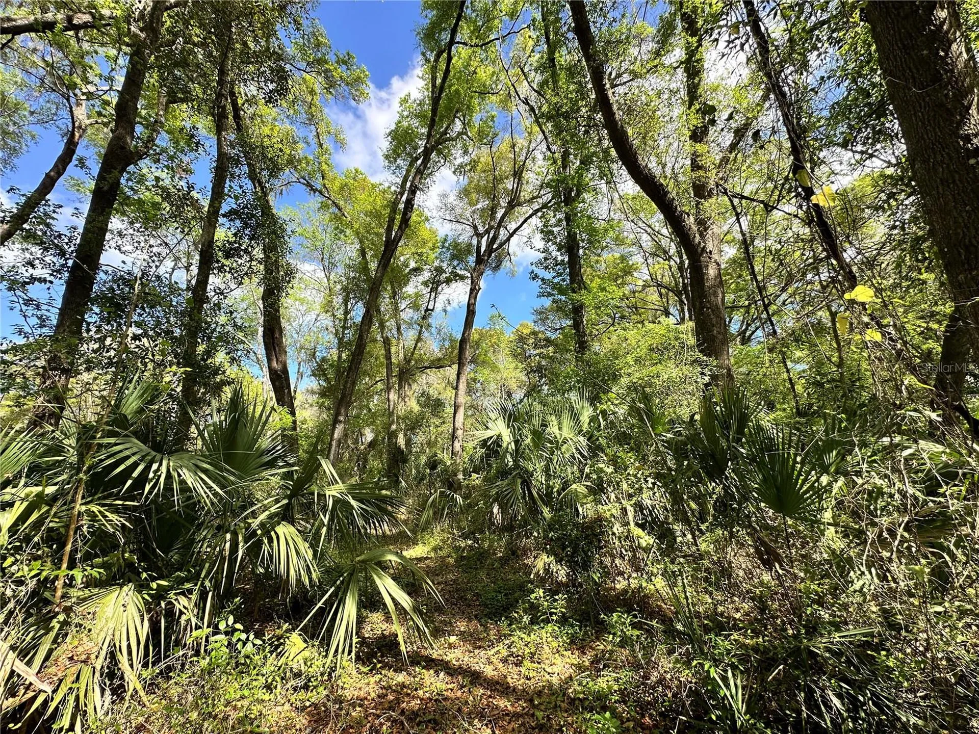 Tbd SW 5th Lane Ocala FL 34481