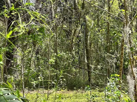 Tbd SW 5th Lane Ocala FL 34481