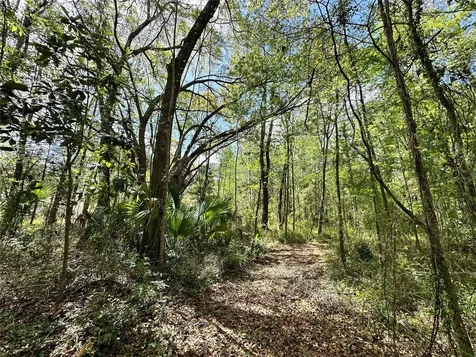 Tbd SW 5th Lane Ocala FL 34481