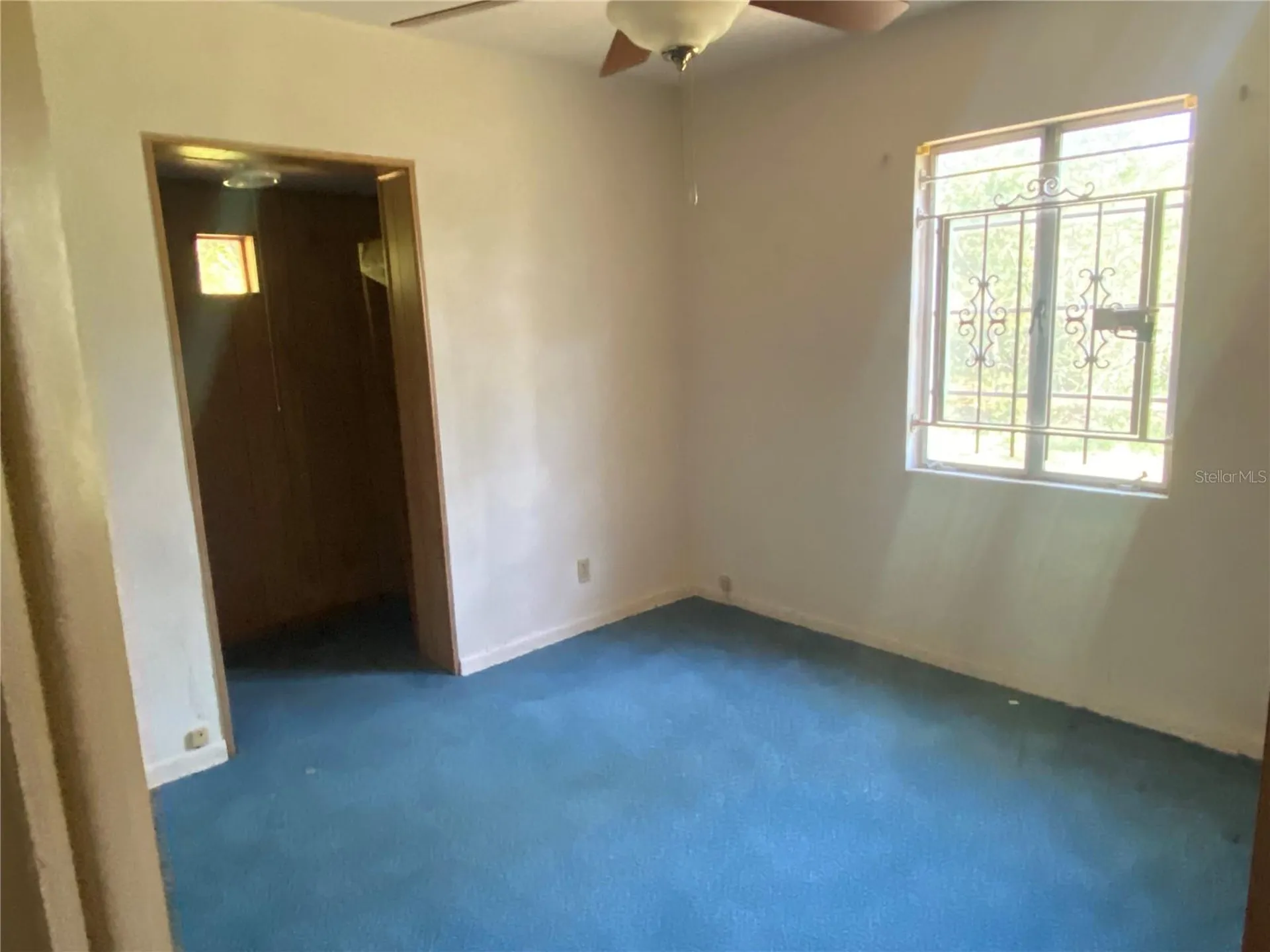 805 W 129th Avenue Tampa FL 33612