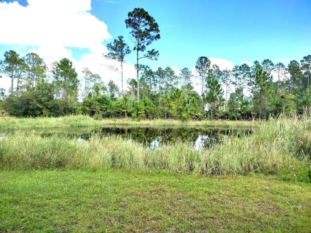 5952 Elm Avenue Bunnell FL 32110