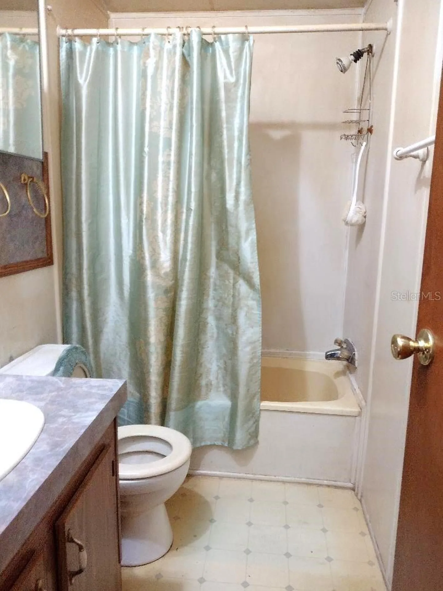 5952 Elm Avenue Bunnell FL 32110