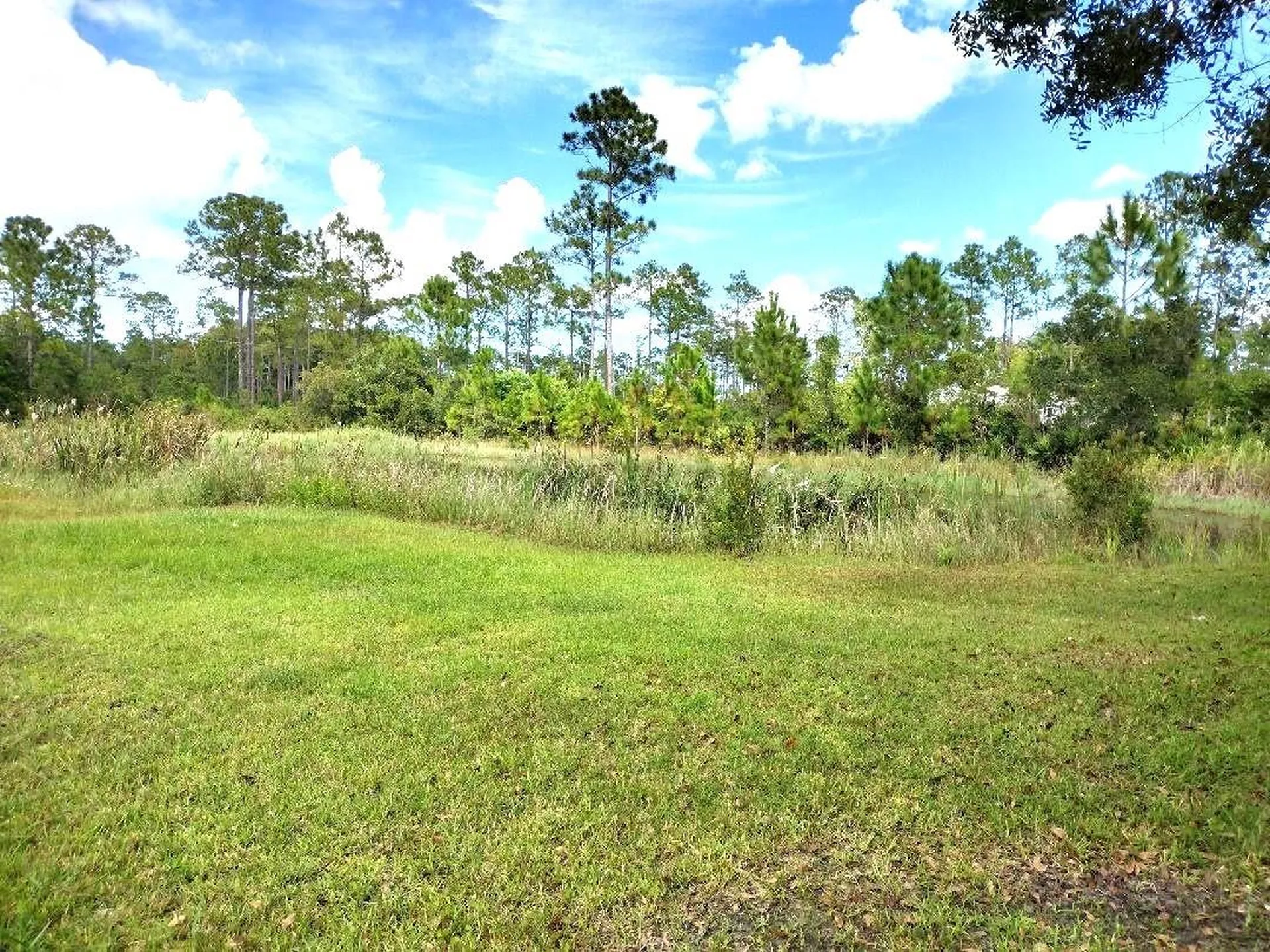 5952 Elm Avenue Bunnell FL 32110