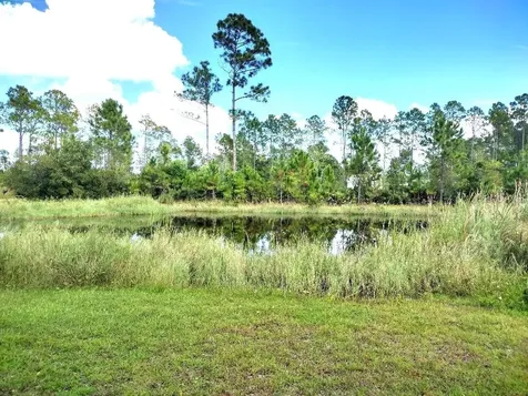 5952 Elm Avenue Bunnell FL 32110