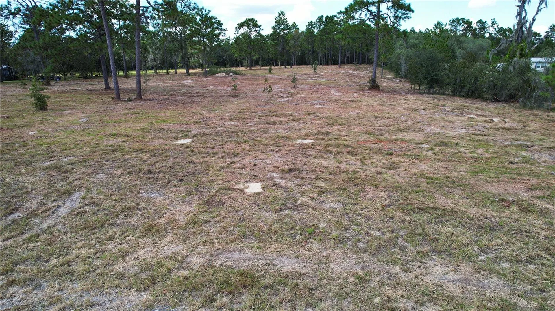53RD Lane Morriston FL 32668