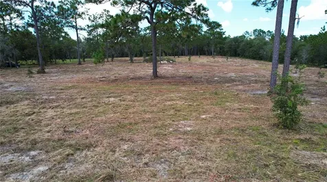 53RD Lane Morriston FL 32668