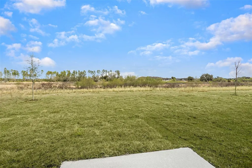 37018 Sagemoor Drive Zephyrhills FL 33541
