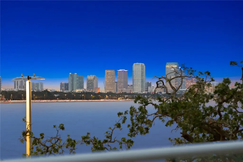 3401 Bayshore Boulevard Tampa FL 33629