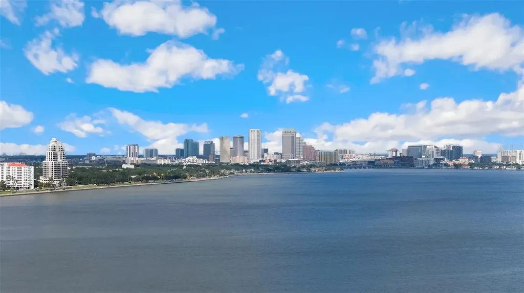3401 Bayshore Boulevard Tampa FL 33629