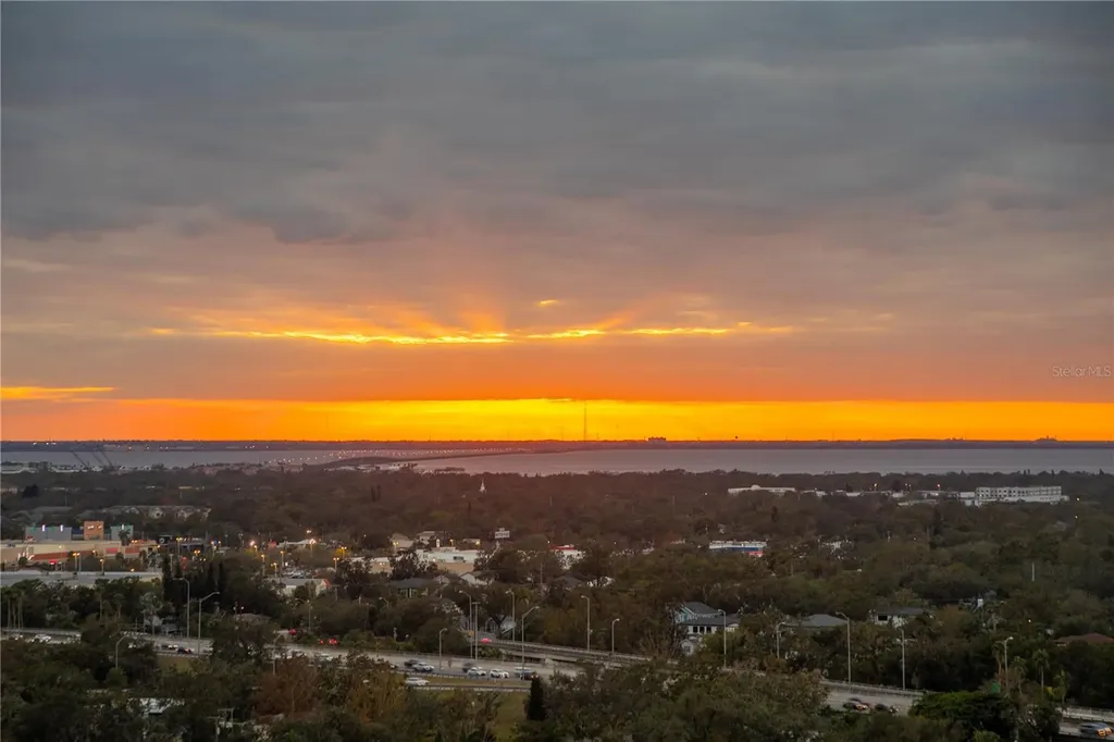3401 Bayshore Boulevard Tampa FL 33629