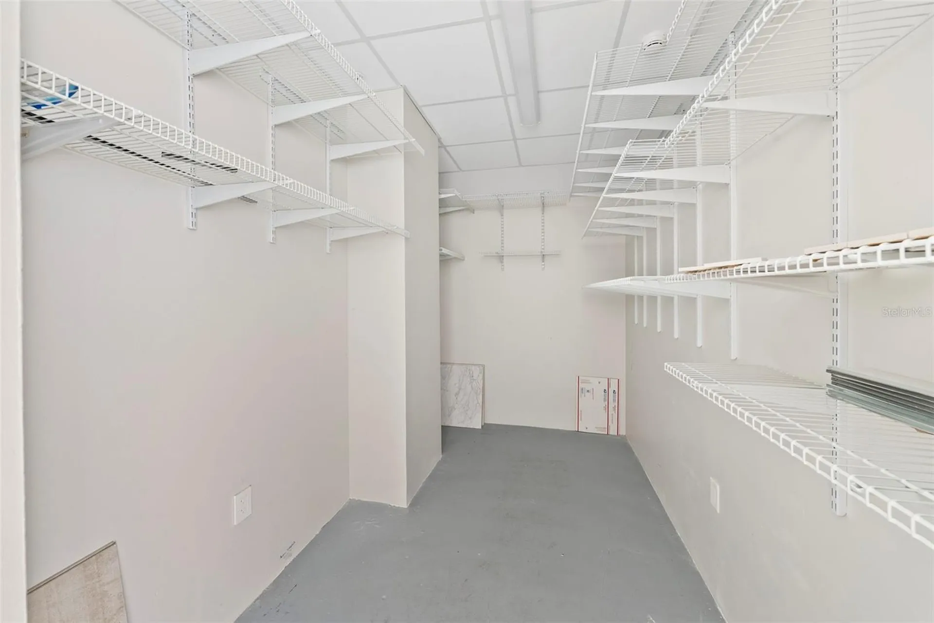 3401 Bayshore Boulevard Tampa FL 33629