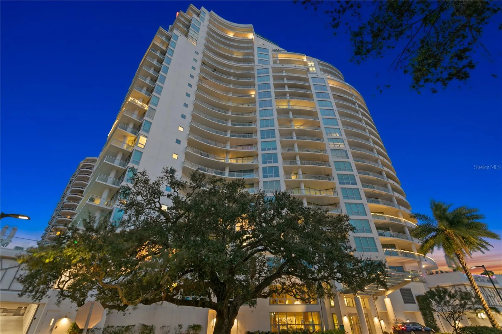 3401 Bayshore Boulevard Tampa FL 33629