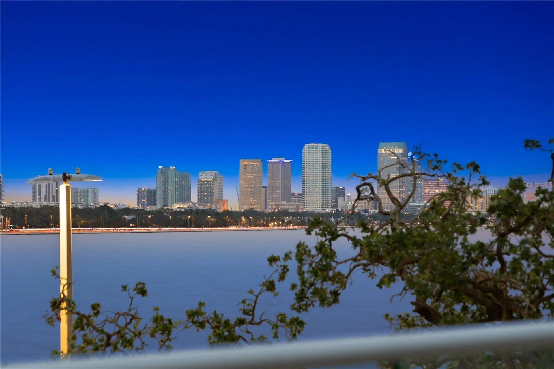 3401 Bayshore Boulevard Tampa FL 33629