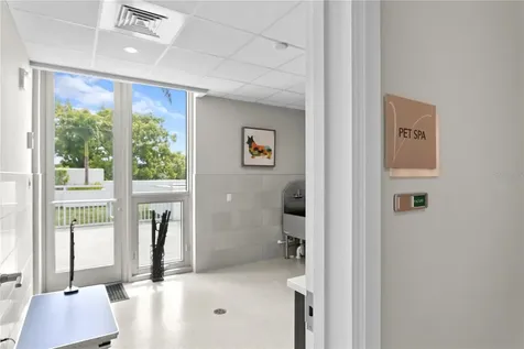 3401 Bayshore Boulevard Tampa FL 33629