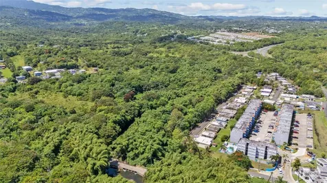 956 Bo Guzman Abajo - Sector Galateo Rio Grande PR 00745