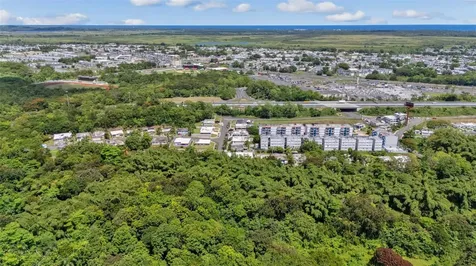 956 Bo Guzman Abajo - Sector Galateo Rio Grande PR 00745