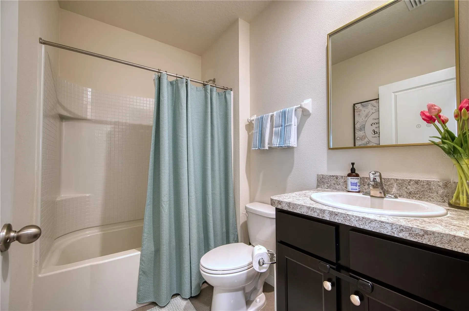 16705 Southern Oaks Trail Parrish FL 34219