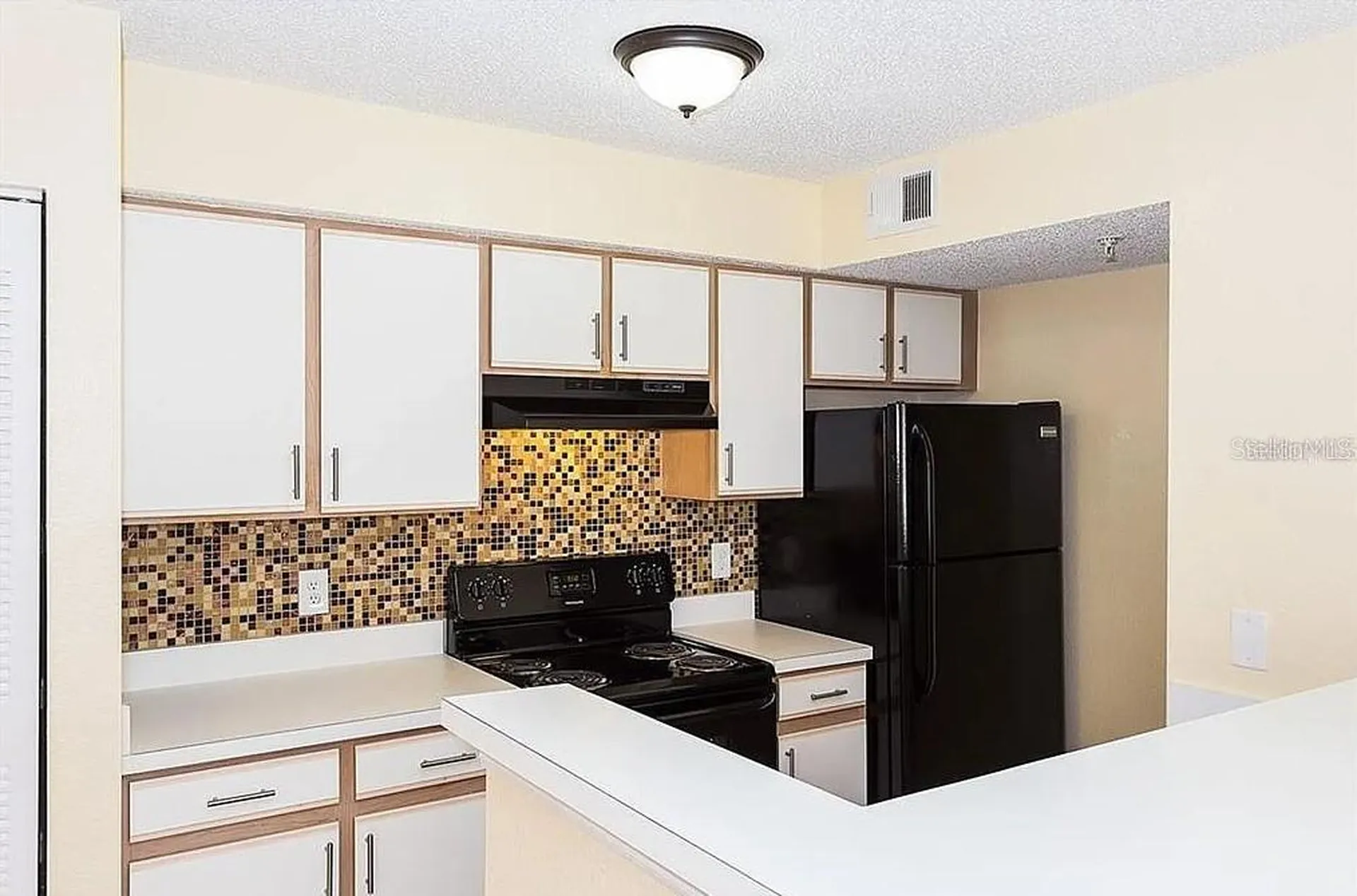 2206 Antigua Place Kissimmee FL 34741