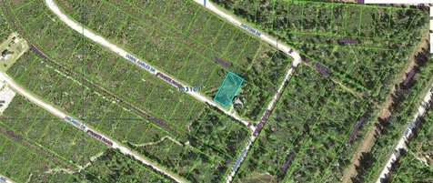 Coral Gables Drive Indian Lake Estates FL 33855