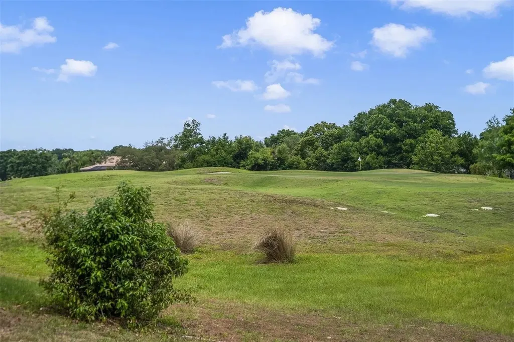 25551 Hawks Run Lane Sorrento FL 32776
