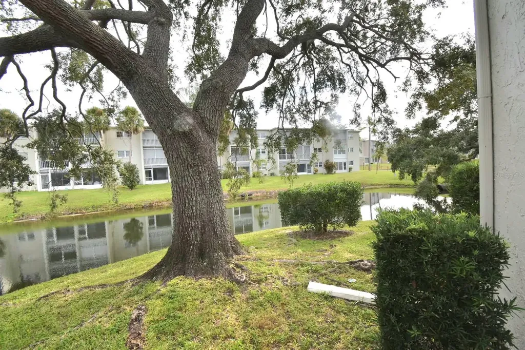 940 Virginia Street Dunedin FL 34698