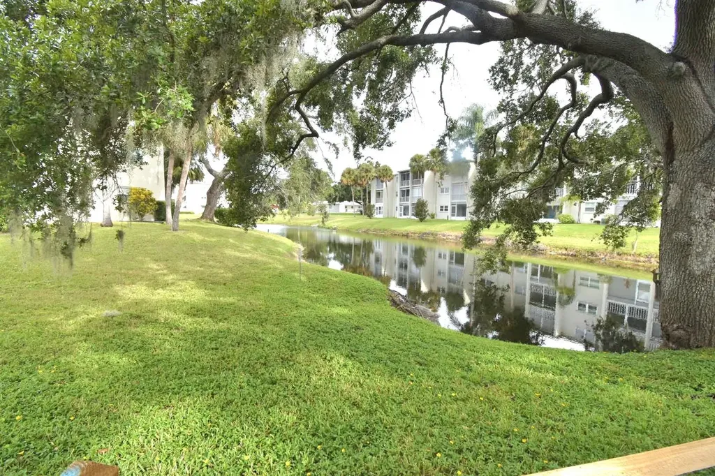 940 Virginia Street Dunedin FL 34698