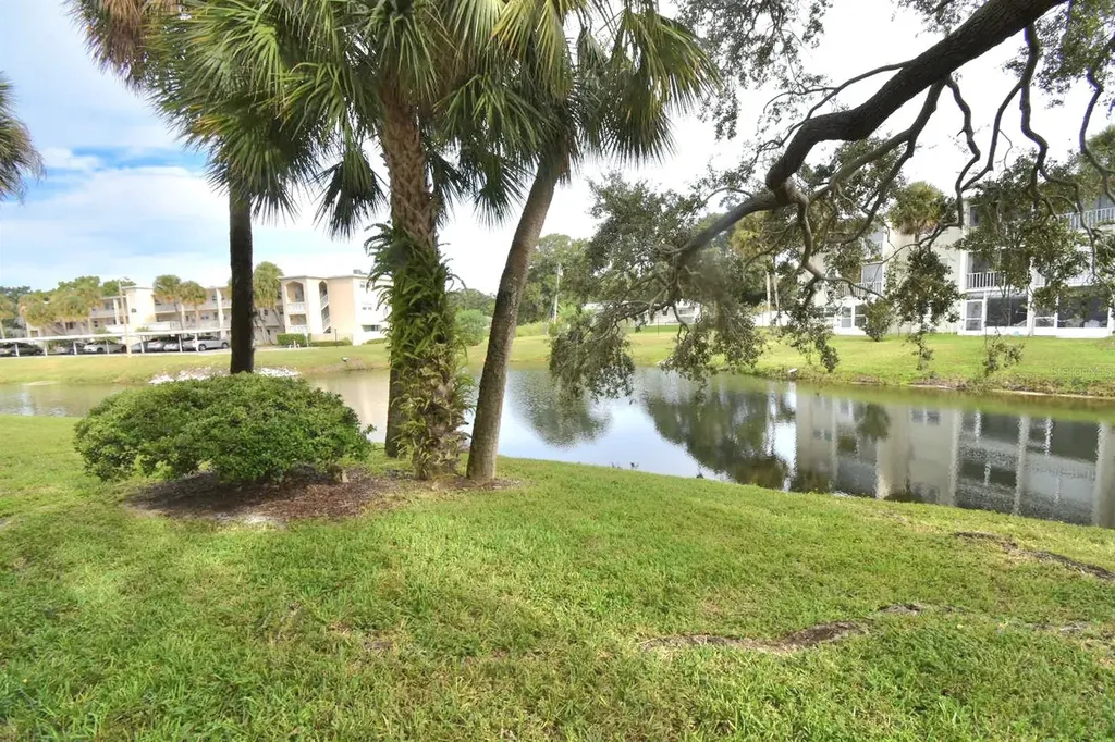 940 Virginia Street Dunedin FL 34698