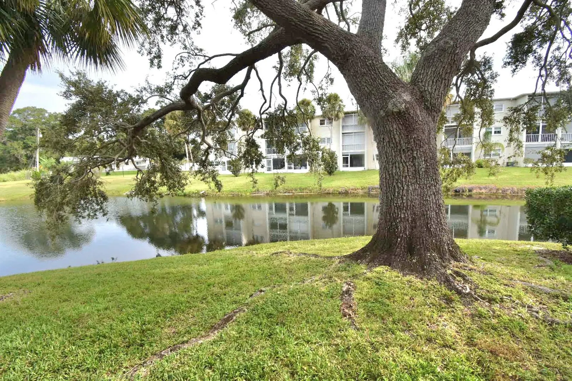940 Virginia Street Dunedin FL 34698