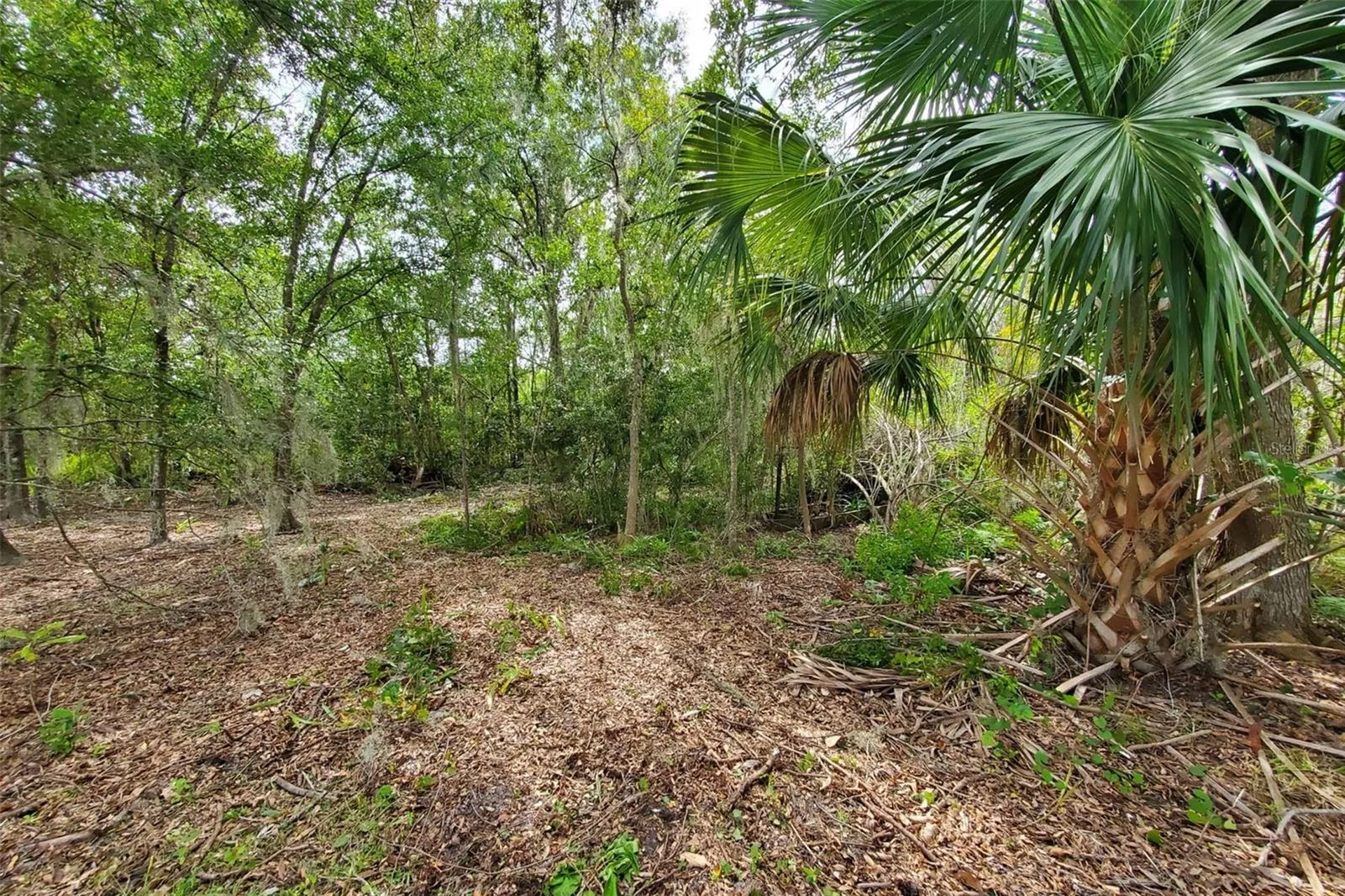 Holy Cow Road Polk City FL 33868