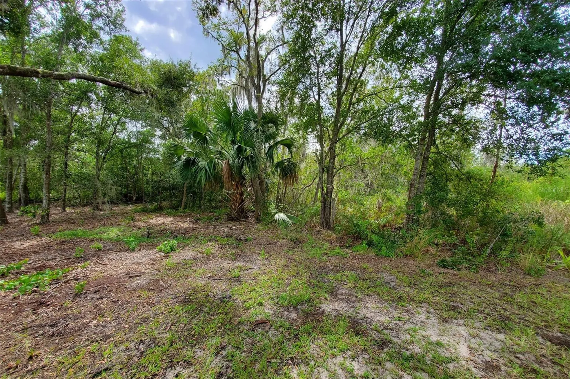 Holy Cow Road Polk City FL 33868