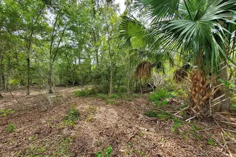 Holy Cow Road Polk City FL 33868