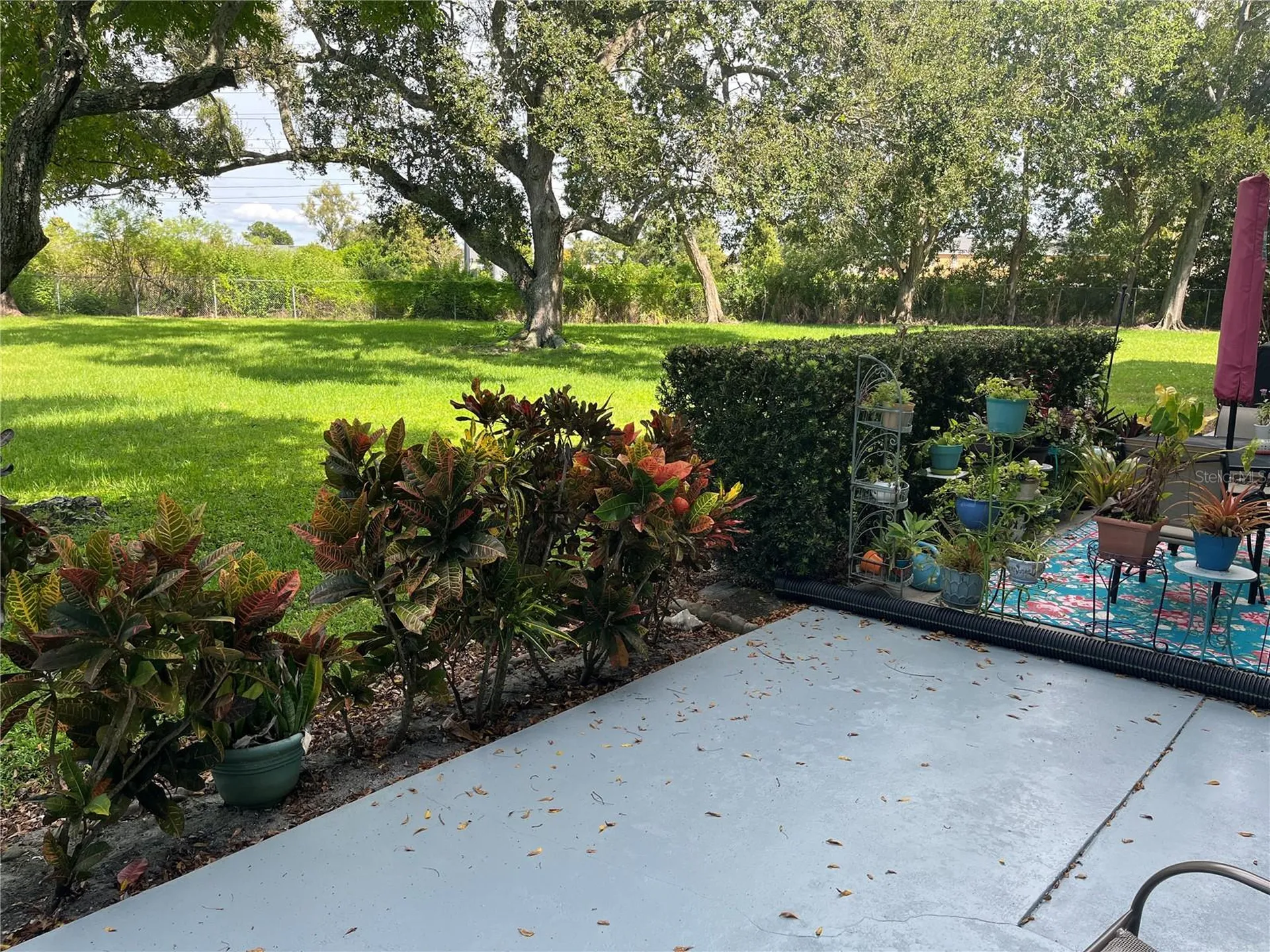 2462 Brazilia Drive Clearwater FL 33763