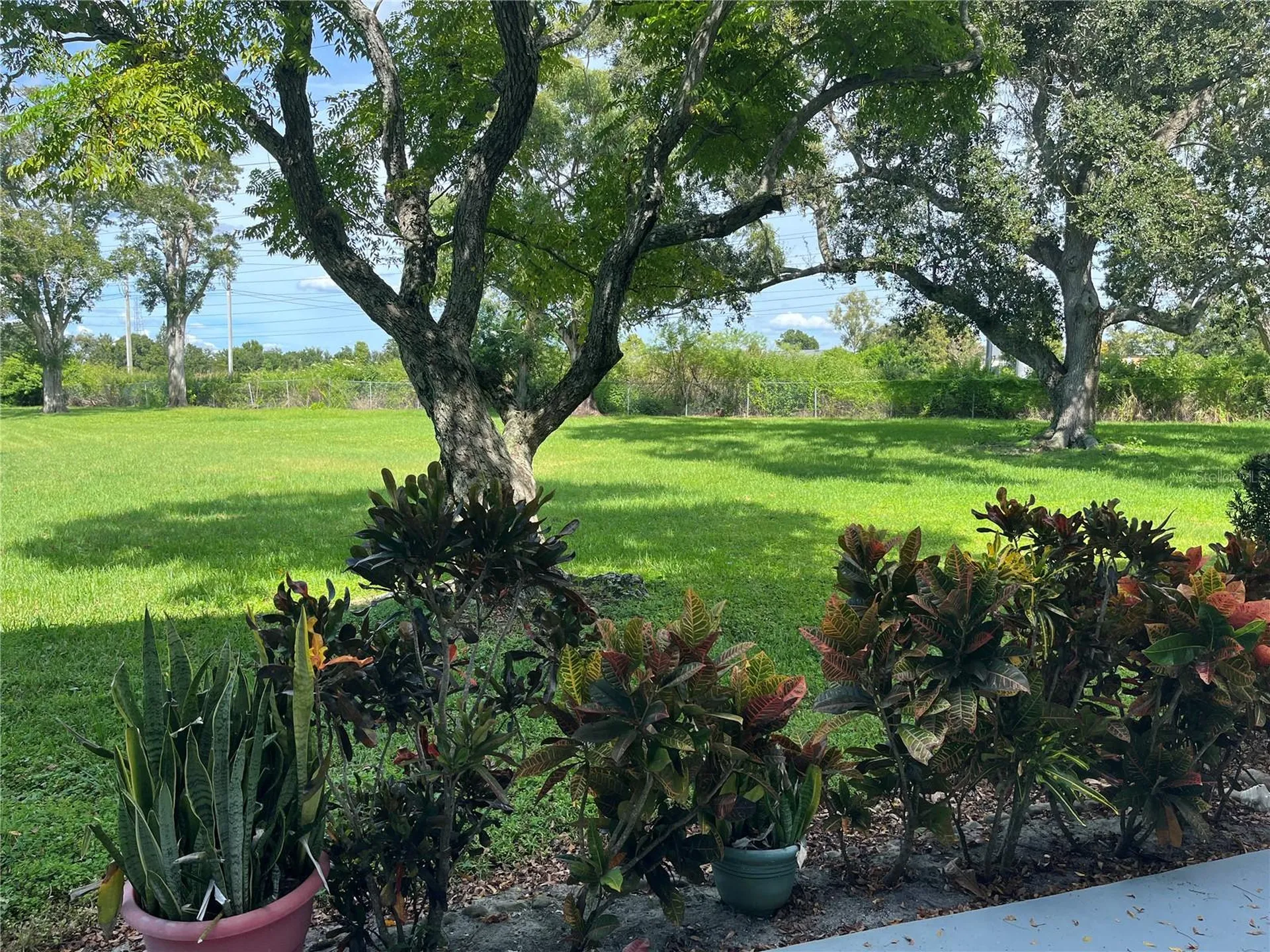 2462 Brazilia Drive Clearwater FL 33763