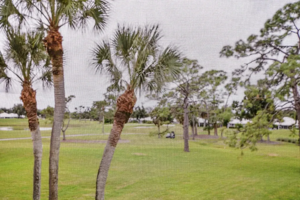433 Cerromar Lane Venice FL 34293