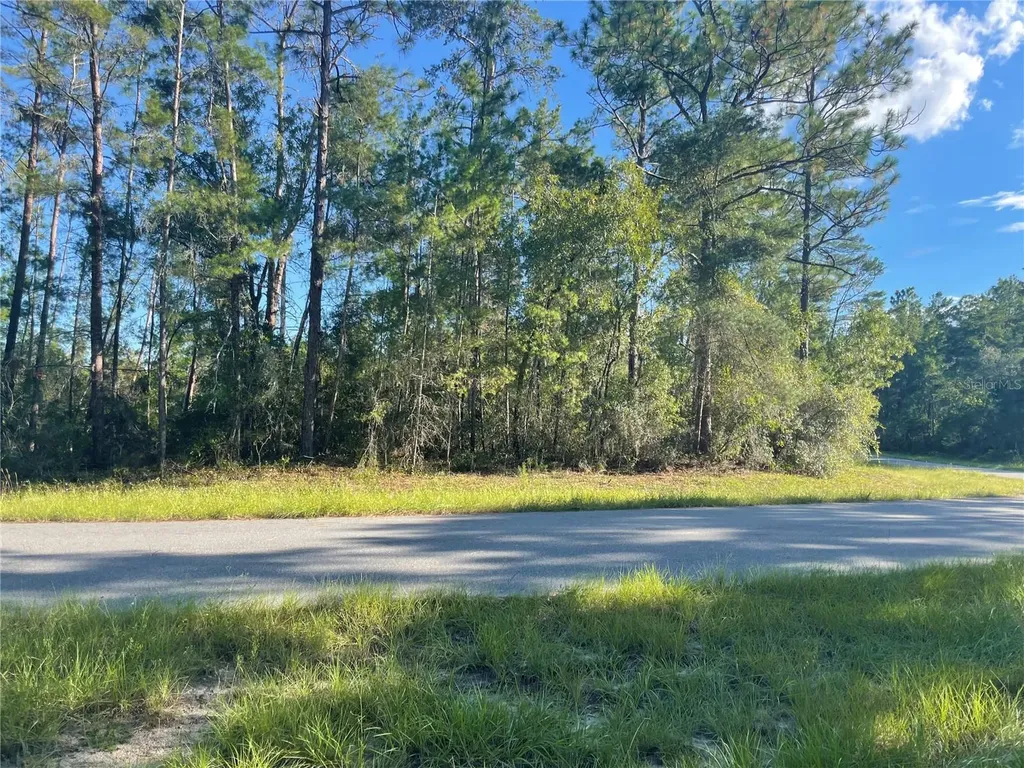 SW 35 Terrace Ocala FL 34476